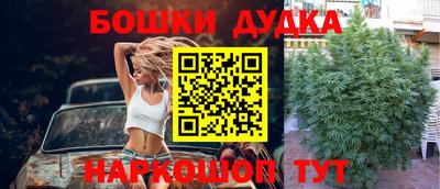 шишки Усть-Джегута