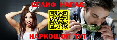 шишки Усть-Джегута